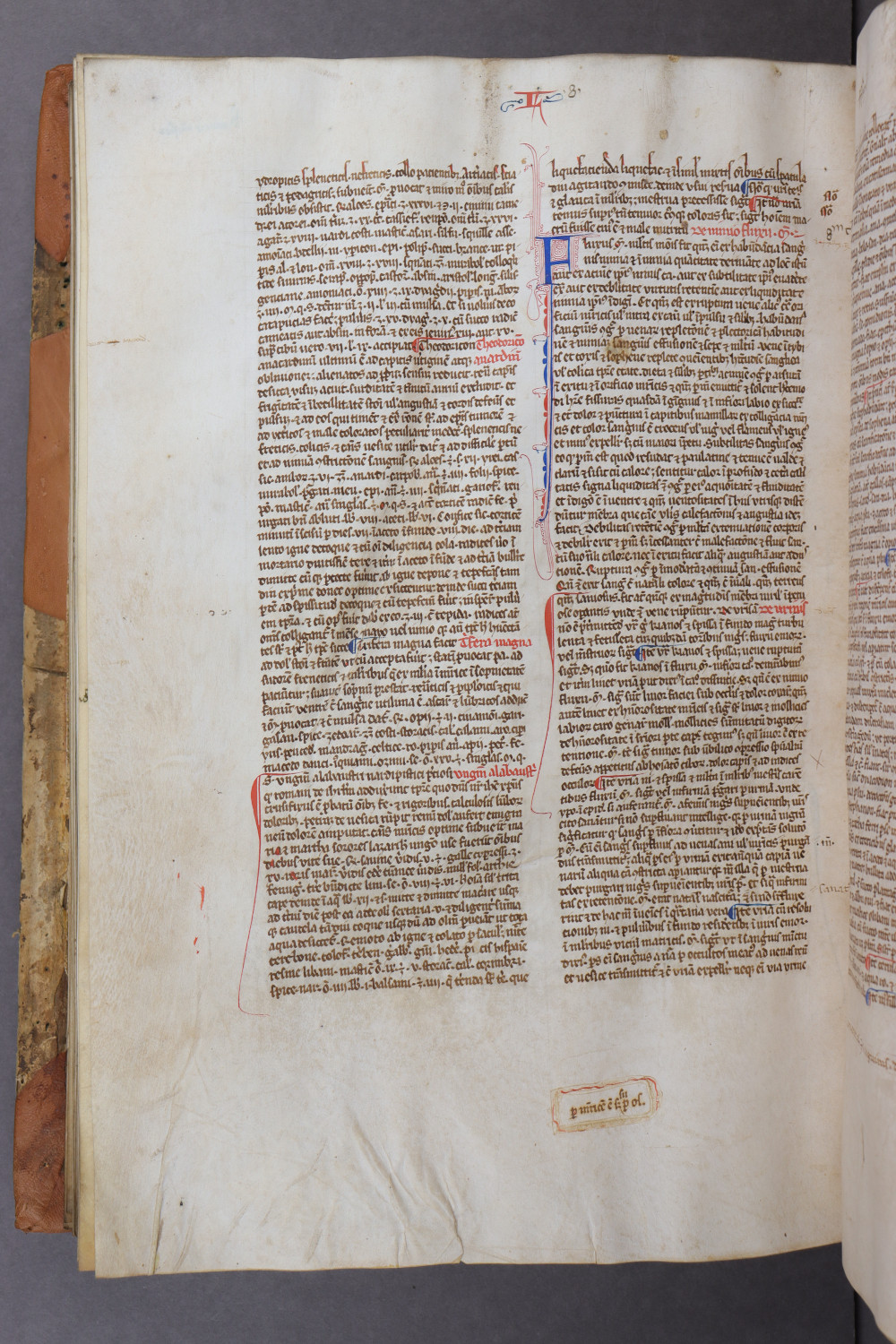 Folio 135 verso
